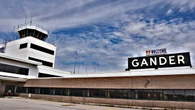 'Date local,' says Gander airport CEO after staff allege multiple catfishing scams