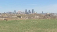 Imperial Oil eyes redeveloping once-contaminated south Calgary community for housing