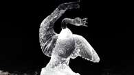 Toronto, American artists capture wild Canada goose vs. bald eagle fight photos in an ice sculpture