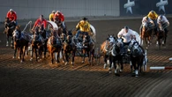 'Humane decision': Horse euthanized after injury during Calgary Stampede chuckwagon race