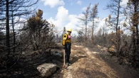 200 power poles destroyed by Kingston wildfire, says Newfoundland Power
