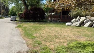 Have a golden lawn? You could win a prize for that if you live in this part of B.C.
