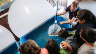 Walpole Island students to raise sturgeon at new school-based fish hatchery
