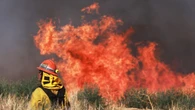 Experts say Manitoba needs better forest management to mitigate wildfires — but some divided on best practices