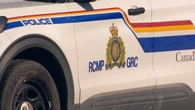 Multiple trucks hit the same moose in collision near Port Blandford