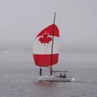Former N.S. sailing team member alleges sex assault ignored by sport governing bodies