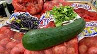 Zucchini, beets, crab apples: Sask. food bank welcomes excess garden produce