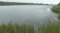 Emergency crews pull body from Kent's Pond in St. John's