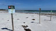 Parks Canada reminds public to respect N.S. beach closures for piping plovers