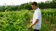 Ontario wine makers raise a glass to newly expanded grape list
