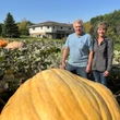 Winkler couple hope their massive pumpkins outweigh the competition