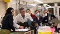 Animals can't speak for themselves, but these vets will do it for them