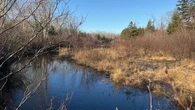 Purchase of land in Point Deroche 'monumental,' says P.E.I. conservation group