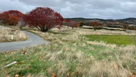 Draft plan emerges for massive development at former St. John's golf course