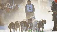 Yukon Quest starts this weekend in Teslin, for 1st time ever