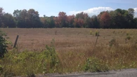 Kingston area the latest to face critically low water levels