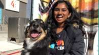 See the pups that attended DOGtoberfest