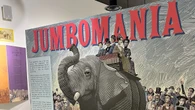 New exhibit in St. Thomas explores legacy of global icon — Jumbo the elephant