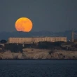 Trump wants to reopen infamous Alcatraz prison for 'vicious' criminals