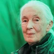 Funeral for world-renowned conservationist Jane Goodall