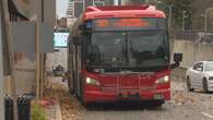 Brampton buses resume full service as striking city workers pause pickets to honour war vets