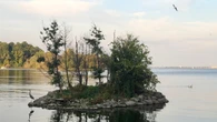 What do you value about the waterfront? Niagara, Hamilton and Halton conservation authorities want to know