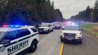 Alleged carjacker refused to stop at B.C.-U.S. border, leading to interstate chase: police