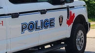 Windsor police tased man they say directed dog to bite officers before it was fatally shot