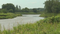 Kennebecasis watershed restricted to fly fishing to protect heat-stressed trout