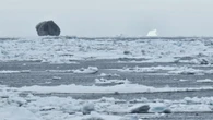 Rare black iceberg spotted off Labrador coast could be 100,000 years old, prof says