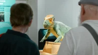 Dinosaurs on display as prehistoric B.C. comes to Prince George