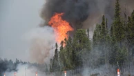 Saint John takes steps to make city more resilient against wildfires