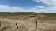 'As a farmer, it's depressing': Southwest Sask. sees less than 25% of normal rainfall in June