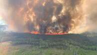 Dry conditions, lightning contributed to Alberta's record-breaking 2023 wildfire season: study