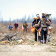 Amid Manitoba's devastating wildfire season, replanting aims to restore forests, fight climate change