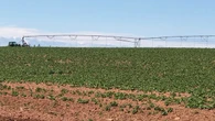 As more P.E.I. farmers apply for irrigation funding, province plans to change funding system