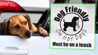 Cranbrook, B.C., dog-friendly sticker campaign highlights summer pet safety risks
