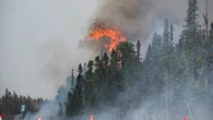 Summer fires in N.B. increasingly likely because of climate change