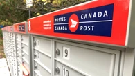 People getting mail delivered to the home letter box consider pros and cons of no service
