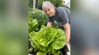 This archeologist is testing a soil recipe from Indigenous people in the Amazon in northern Ontario