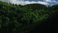 Why Quebec's forestry reform is facing backlash from Indigenous groups, conservationists
