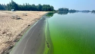 20 blue-green algae advisories issued for Alberta lakes this summer