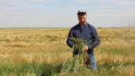 In a bone-dry summer, normally parched southern Alberta has been soaked
