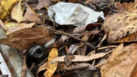Push for 'child safety zones' in Kingston parks hits hurdles at council