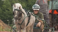 Young P.E.I. drivers to compete at harness racing's first junior national driving championship