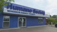 Former head of humane society says she has legal counsel, fired after 16 years