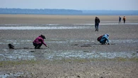 Harvesting local shellfish can be a great way to save money, but officials are warning about contamination