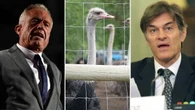 Dr. Oz wants to take B.C. ostriches facing cull order — but scientists question his claims
