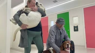 'A dream came true,' says C.B.N. evacuees after Mount Pearl business took in beloved dogs during wildfire