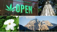 Search for B.C.'s Best Symbol: Round 2 — Nature